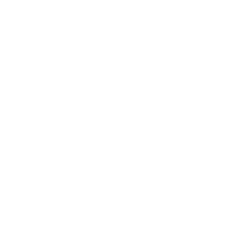skillImage